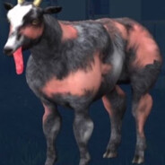 RIPPED GOAT