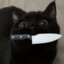EepyCat