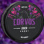 corvus