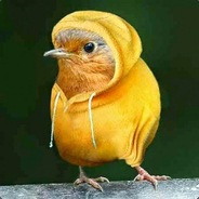 МС Канарейка