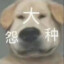 漫游尘世