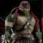 RAPHAEL