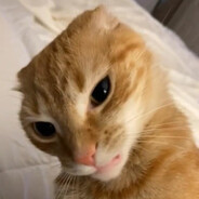furamingo