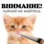 тёмный принц