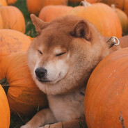 flarez (october)