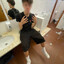Joca_477