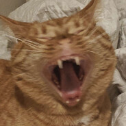 SpinachSpencer Steam avatar