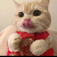 天佑我神劵膨胀