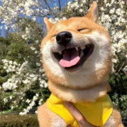 今生如此，此生皆然