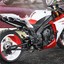 bigmann2907