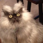 Easy-Peasy avatar