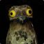 The Great Potoo