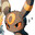 Night's Avatar
