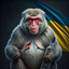 в зопу 50