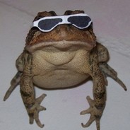 Дагестанец