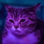 Clive