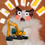 重生之我是板鸡堡侠