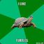 Classy_Turtle