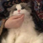 青许.