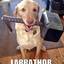 Labrathor