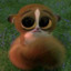 Mort from Madagascar!