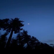 Мишка дарк триад