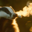 Smokin&#039; Badger