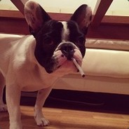 svabaaaaaa - steam id 76561198443849494