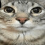 noken