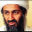 bin ladin