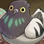 Pigeon