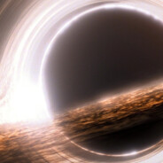 walnutty's cutie pie