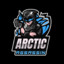 ArcticAssassin