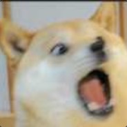 我是重伤倒地，你可以叫我动力狗子