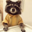meowerdog