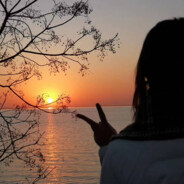 半缘修道半缘君