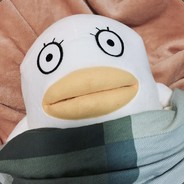 是伊丽莎白鸭鸭