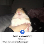 ugly ass hamster named ralph