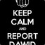 REPORT DAWID