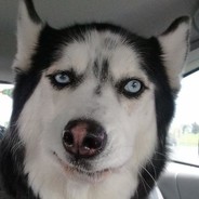 重庆热心市民秦先生