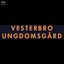 vesterbroung00011