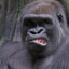 TUMBA