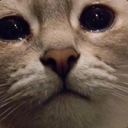 комиссар секс