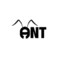 ant