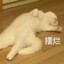H荔枝H
