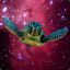 A Turtle&#039;s Dream(In Outer Space)