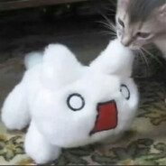 爱玩游戏的猪咪mi