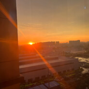 Seven-year milkshake