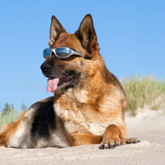 Valgyk babos vėdarus