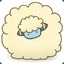 very woolly sheep